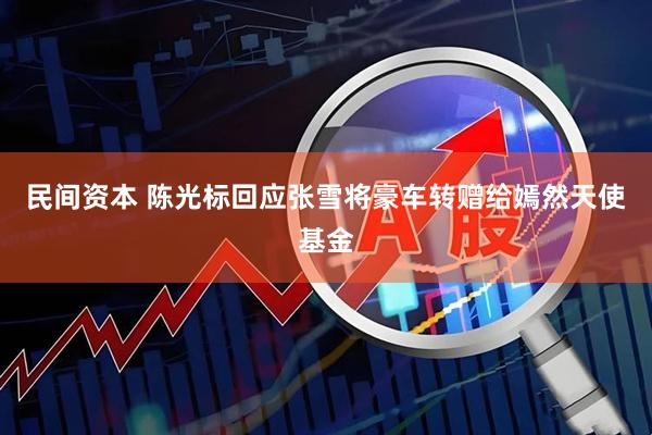 民间资本 陈光标回应张雪将豪车转赠给嫣然天使基金