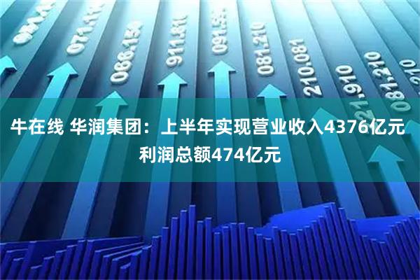 牛在线 华润集团：上半年实现营业收入4376亿元 利润总额474亿元
